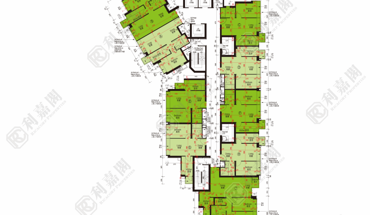 44744_2000_Ricacorp-13.png