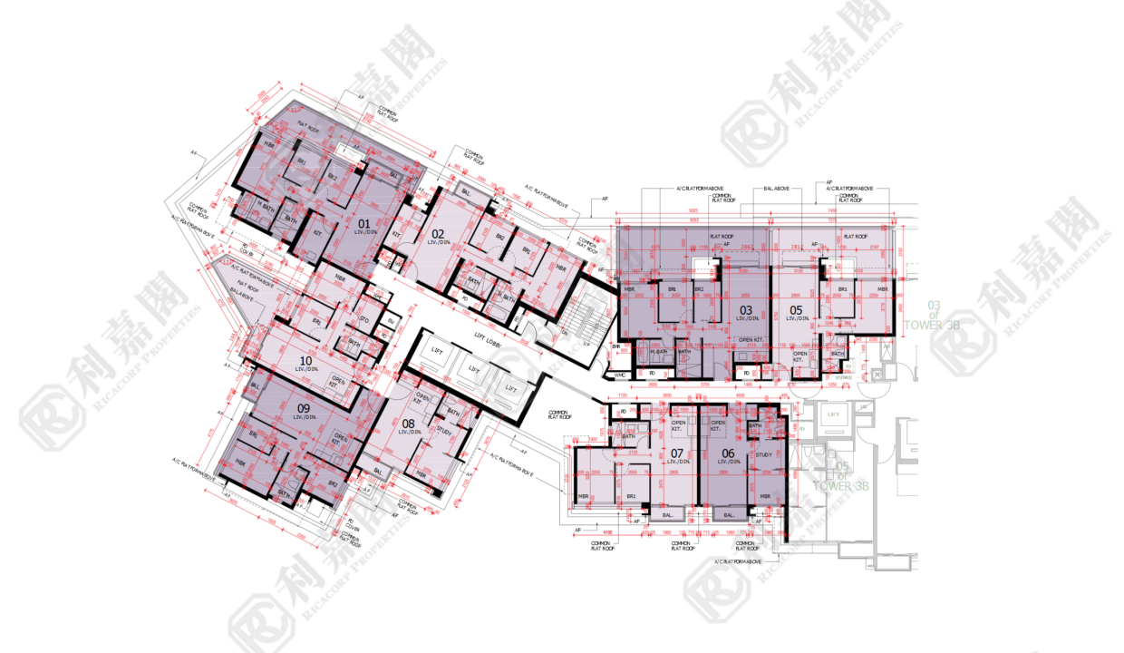 44761_2000_Ricacorp-1.png