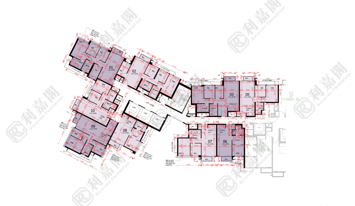 44762_2000_Ricacorp-3.png