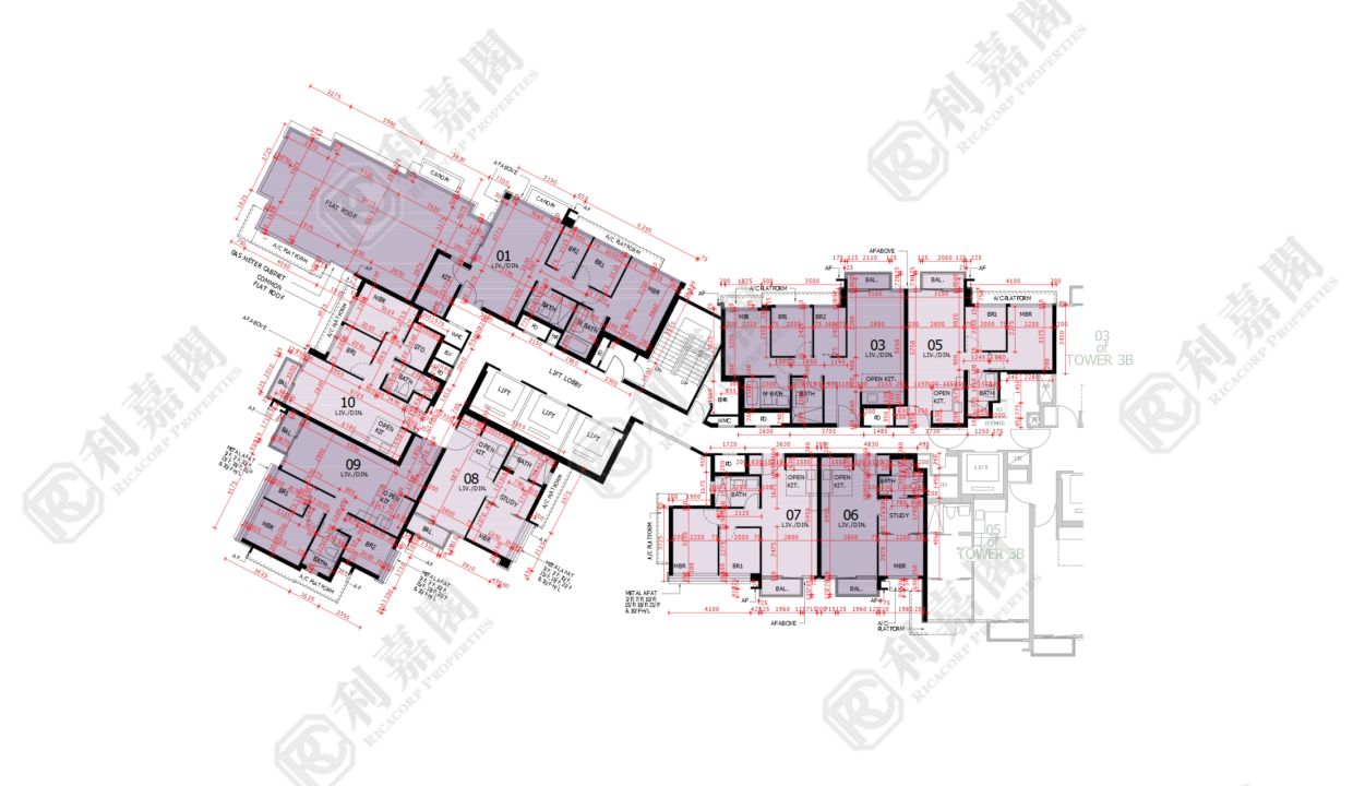 44765_2000_Ricacorp-2.png
