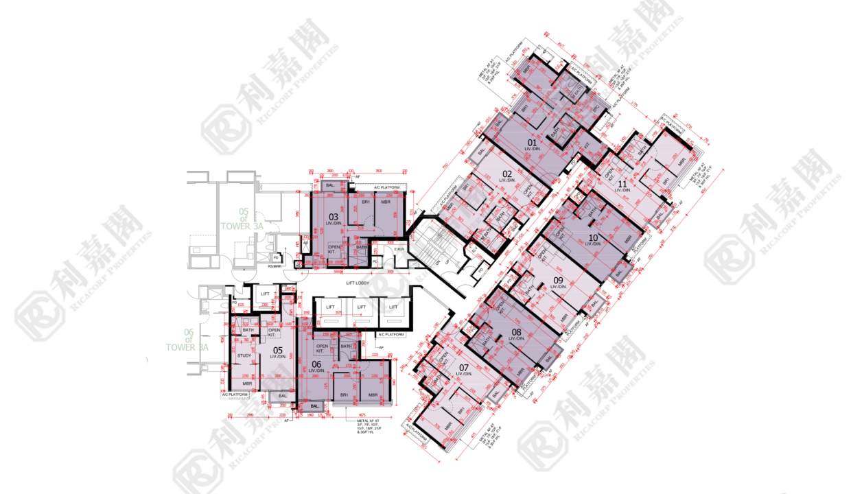 44767_2000_Ricacorp-4.png