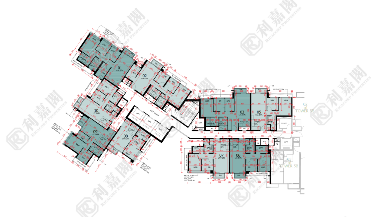44772_2000_Ricacorp-1.png