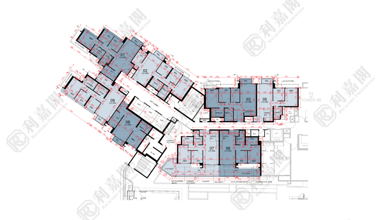 44784_2000_Ricacorp-1.png
