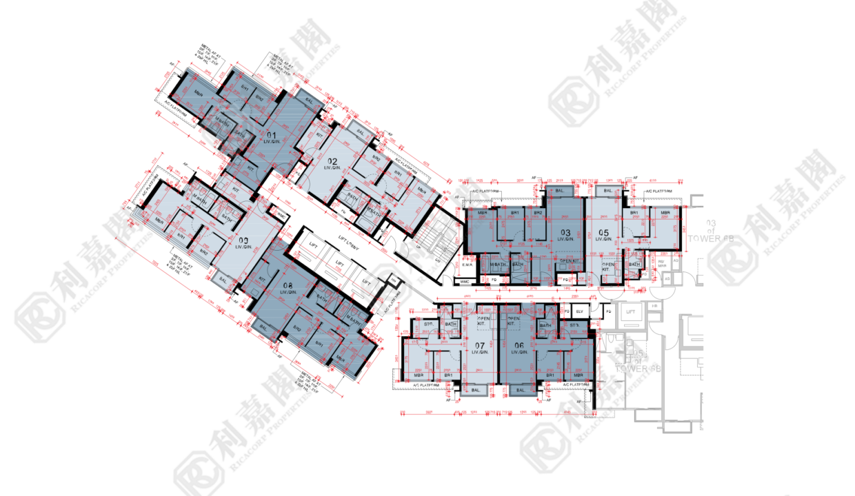 44785_2000_Ricacorp-3.png