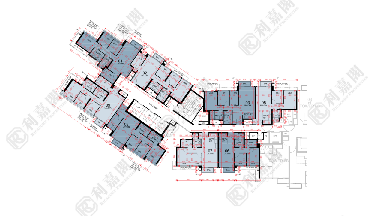 44787_2000_Ricacorp-2.png