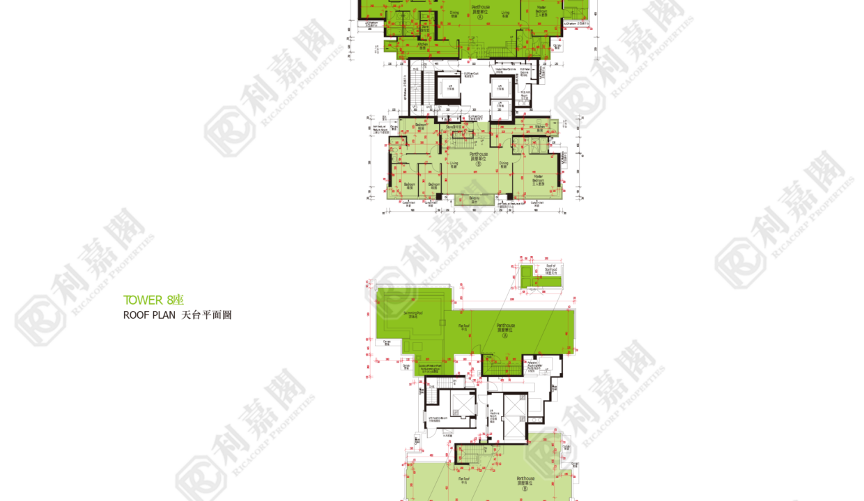 44869_2000_Ricacorp.png
