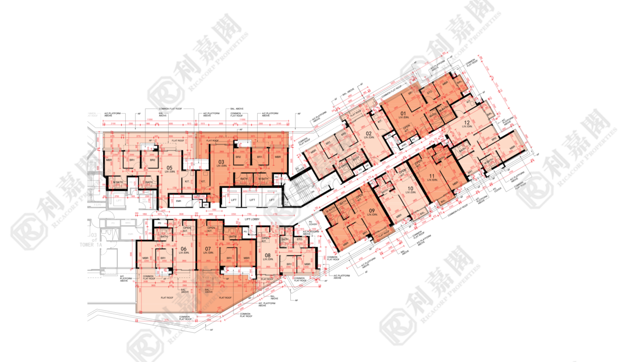 44969_2000_Ricacorp-2.png