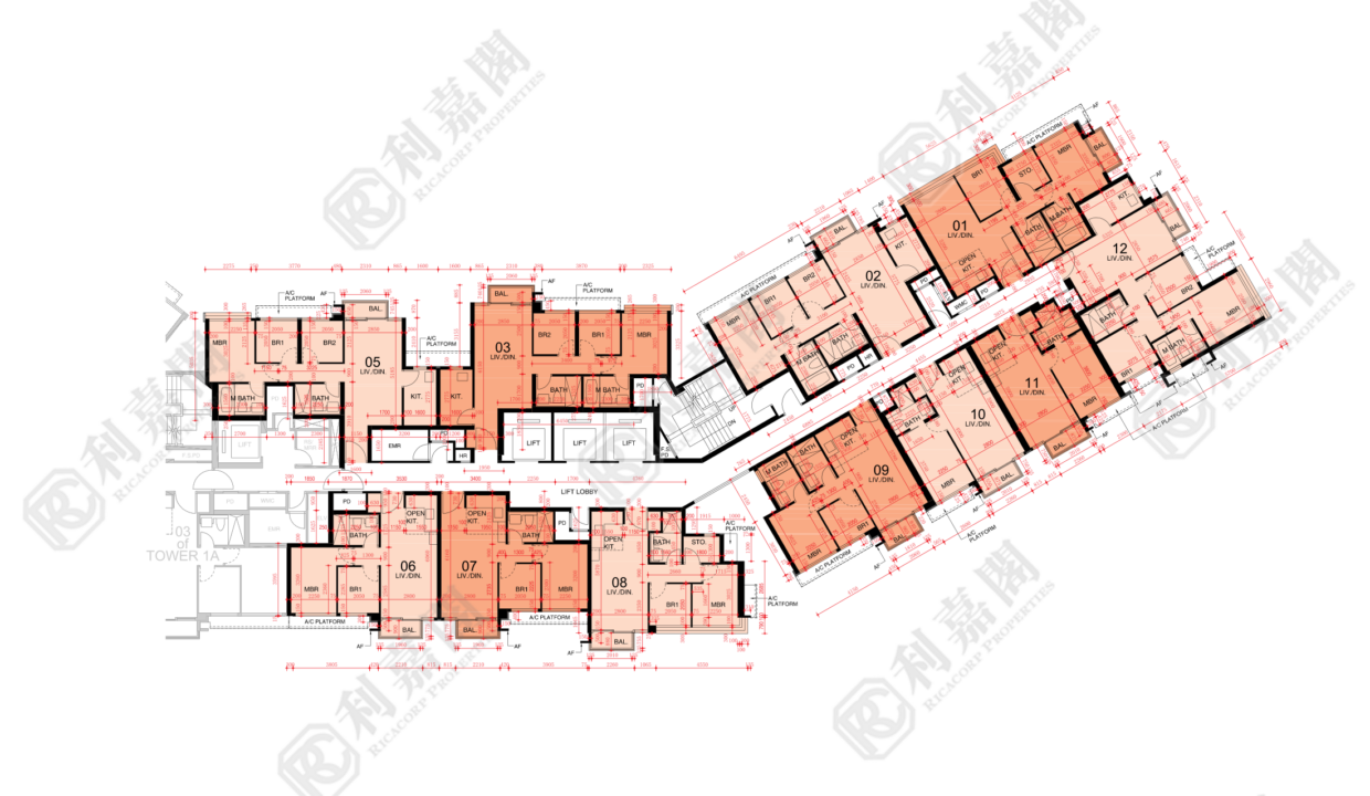 44971_2000_Ricacorp-1.png