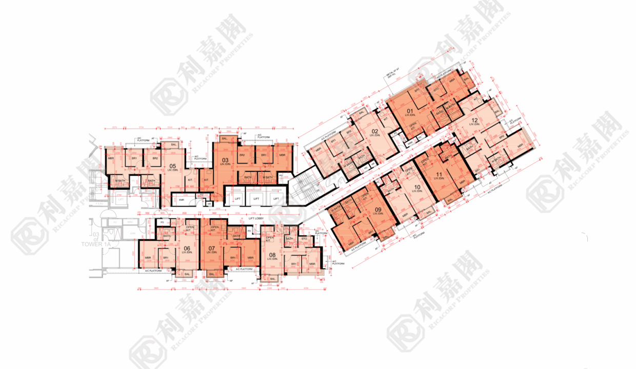 44973_2000_Ricacorp-2.png