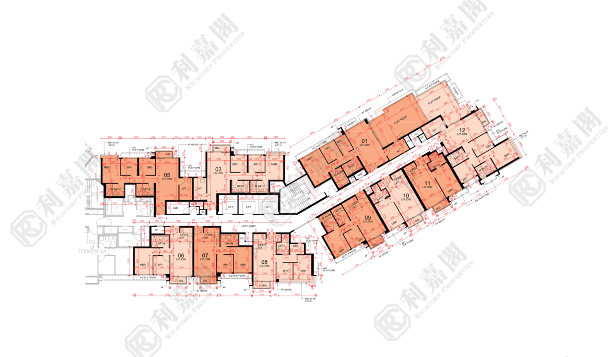 44974_2000_Ricacorp-1.png