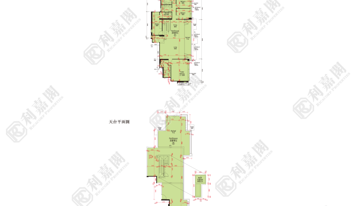 48074_2000_Ricacorp-2.png