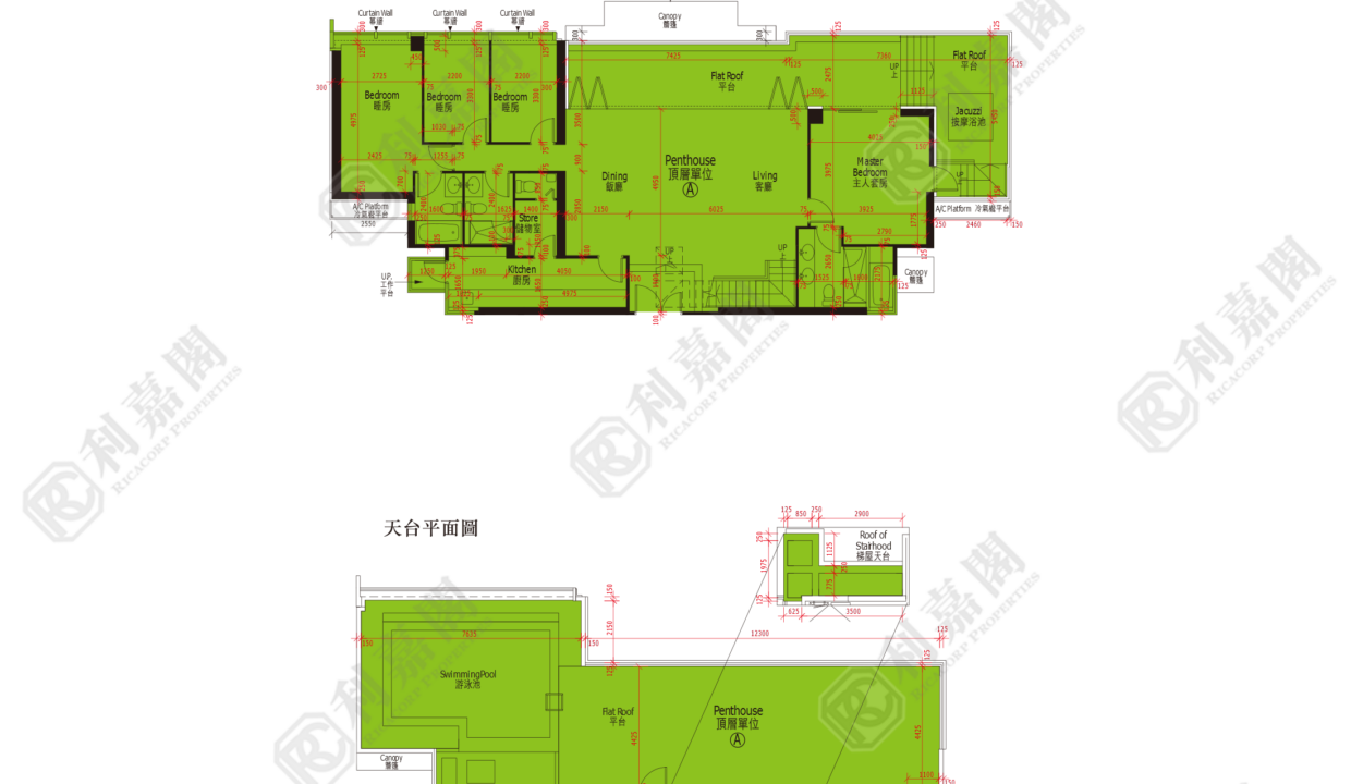 48130_2000_Ricacorp.png