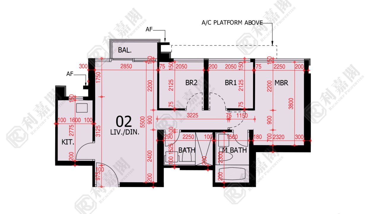 48177_2000_Ricacorp-1.png