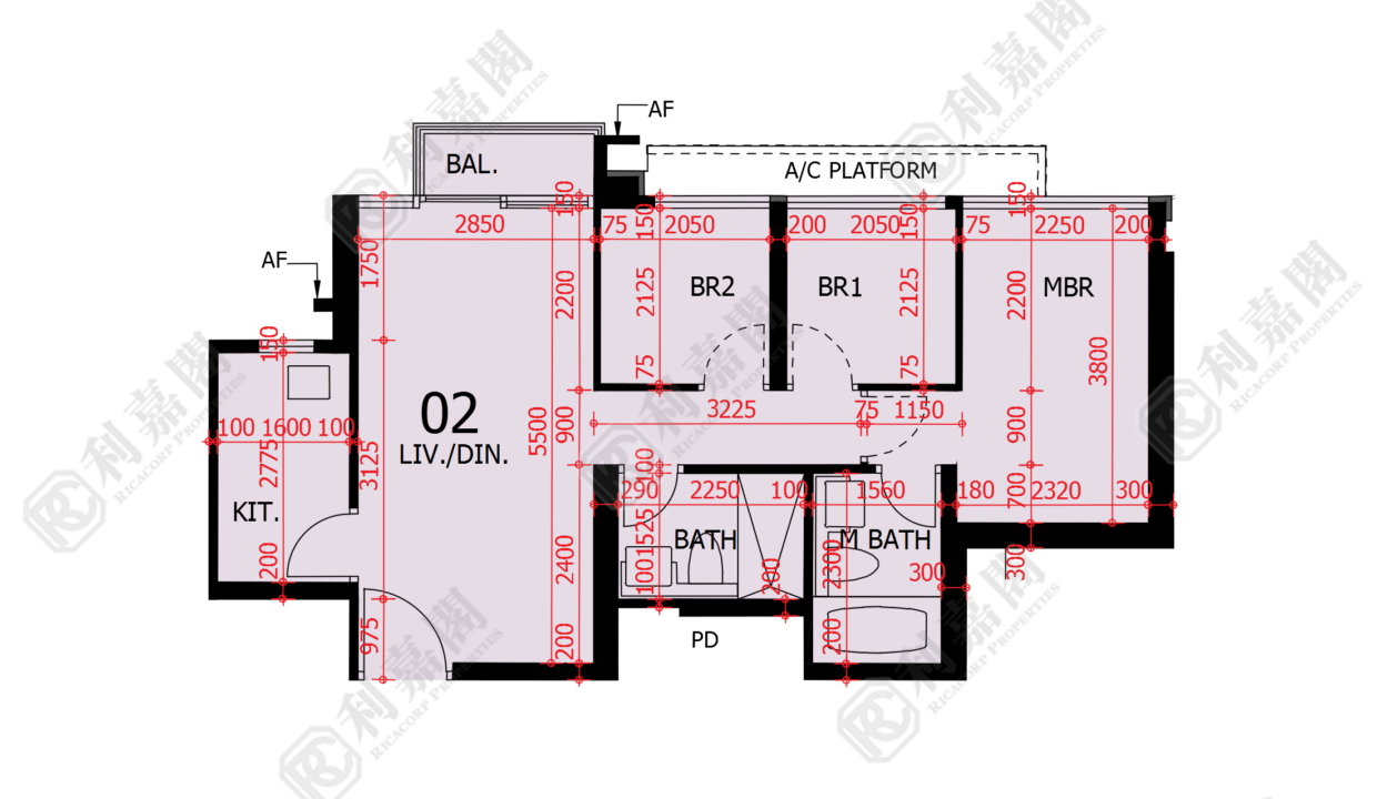 48178_2000_Ricacorp-2.png