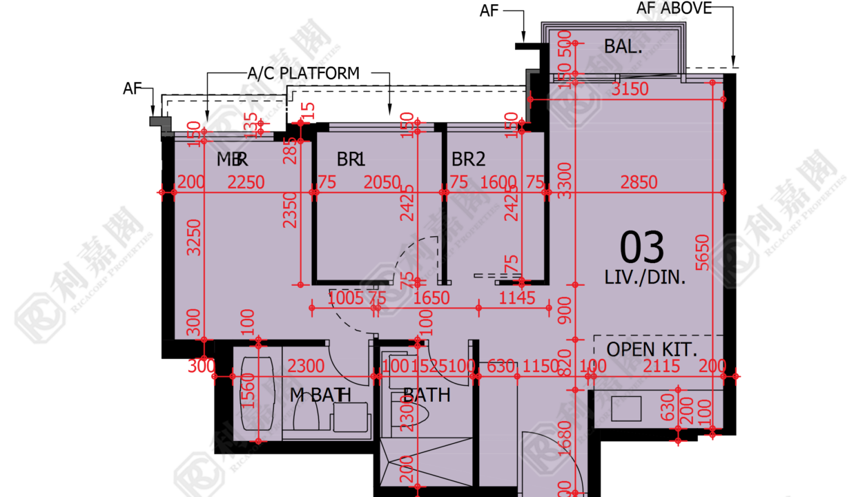 48185_2000_Ricacorp-1.png
