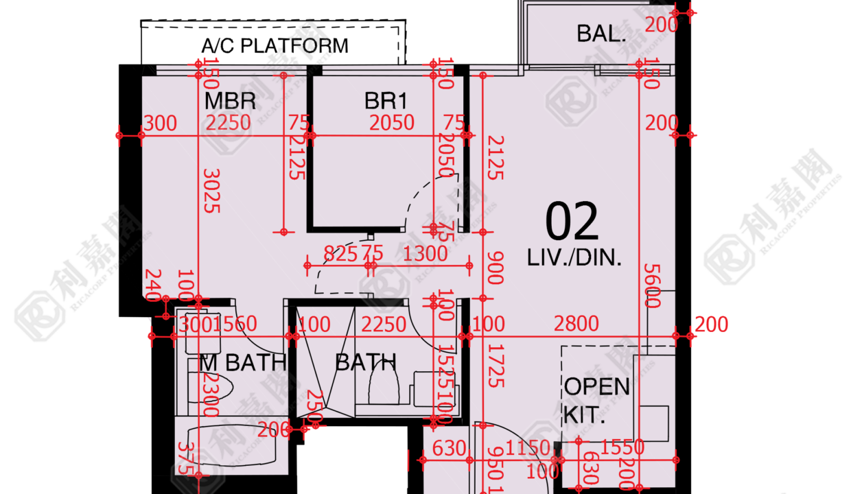 48229_2000_Ricacorp-1.png