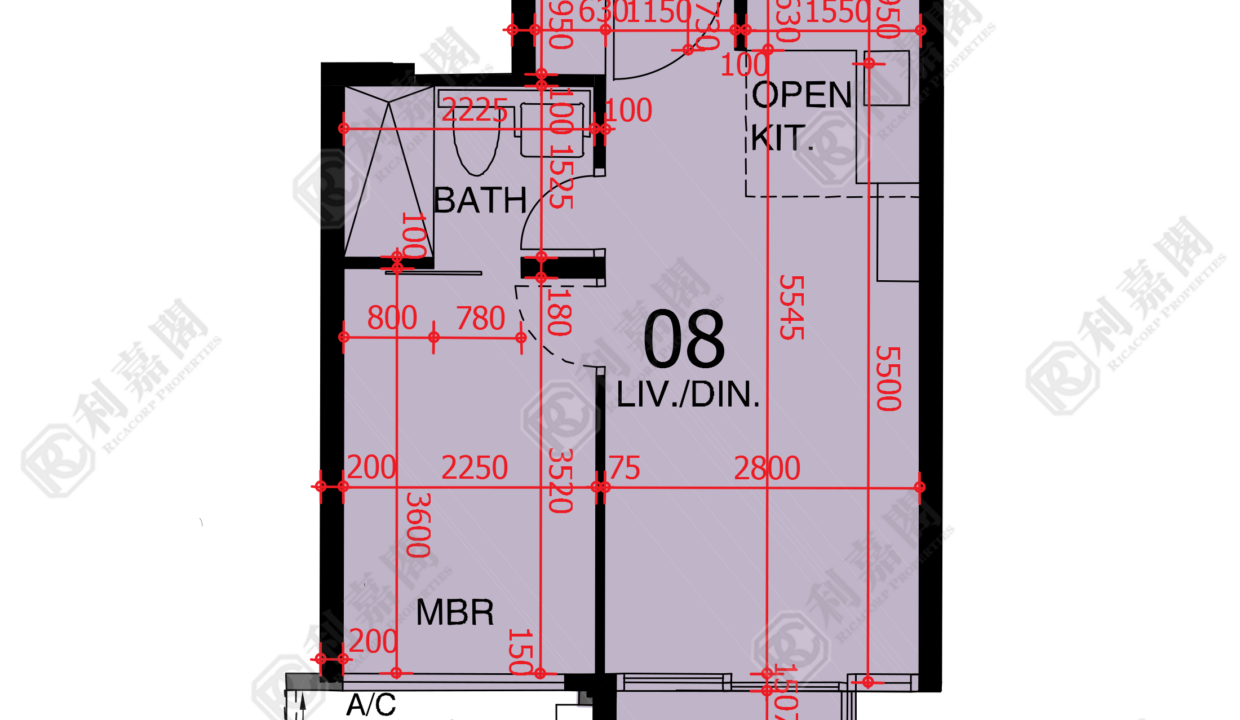48252_2000_Ricacorp-1.png