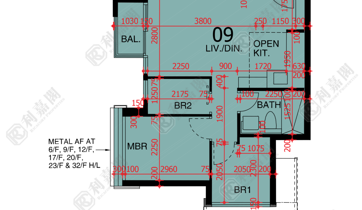 48303_2000_Ricacorp-2.png