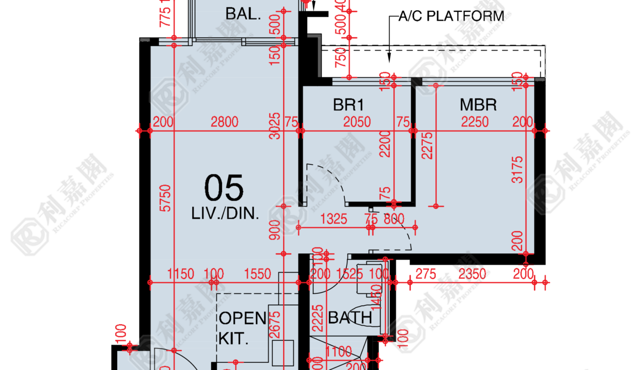 48380_2000_Ricacorp-1.png