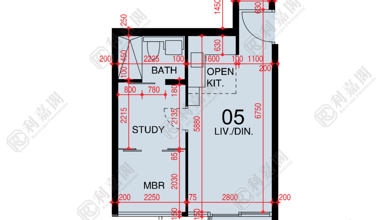 48432_2000_Ricacorp-1.png