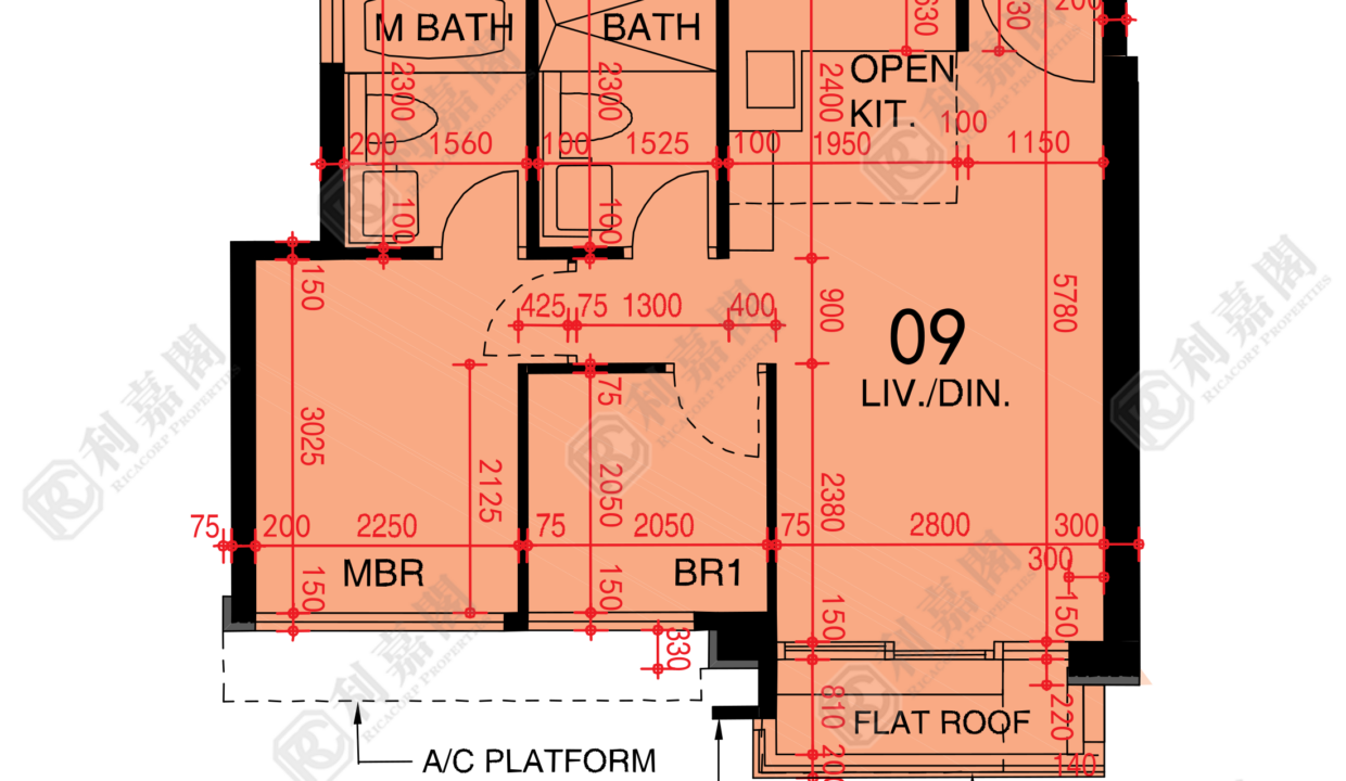 48548_2000_Ricacorp-1.png