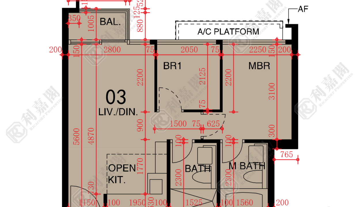 48628_2000_Ricacorp-2.png