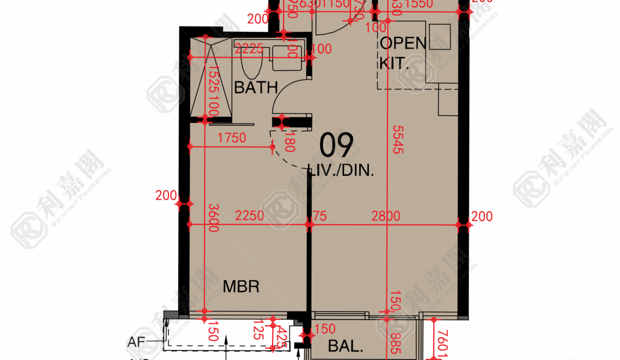 48663_2000_Ricacorp.png