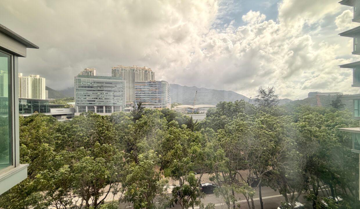 65043517-df6d-4bd0-b8fd-6ea298b87374.jpeg