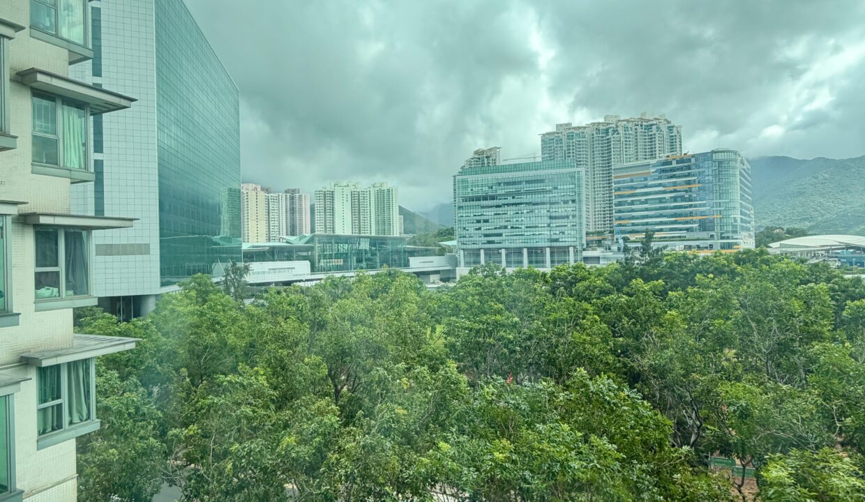 764be248-b0a0-4301-832d-b17d049c53d9.jpeg