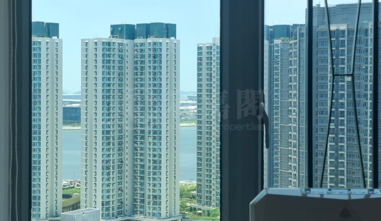9e6141a4-cbb2-4c87-8551-23213cddfa66.jpeg