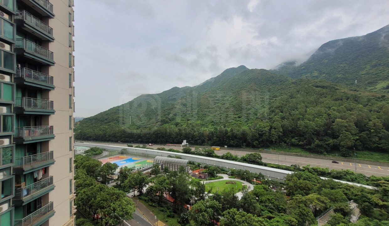 a676b576-15d1-4d62-acbb-c4fb649750d3.jpeg