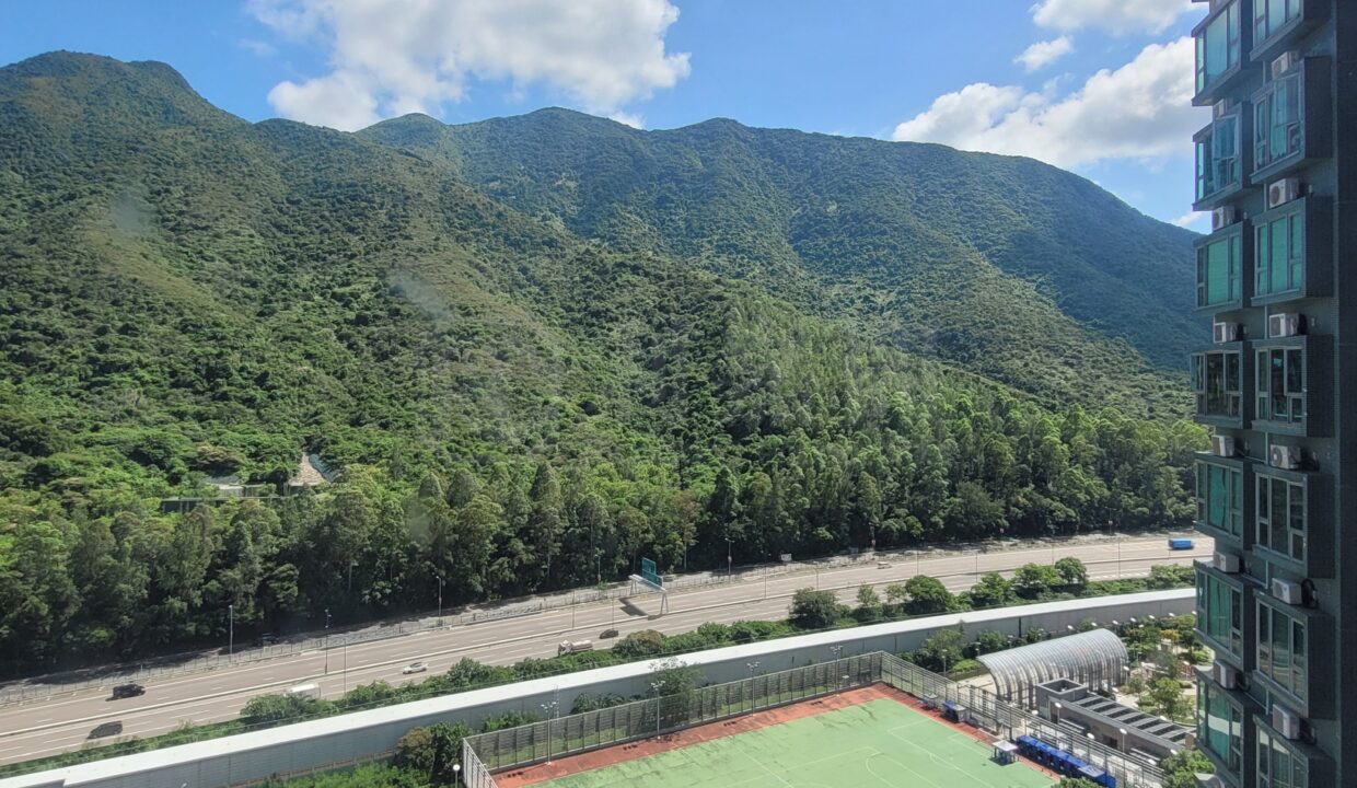 a723d2bf-1acd-4032-83c5-c71d7bf882a3-1.jpeg