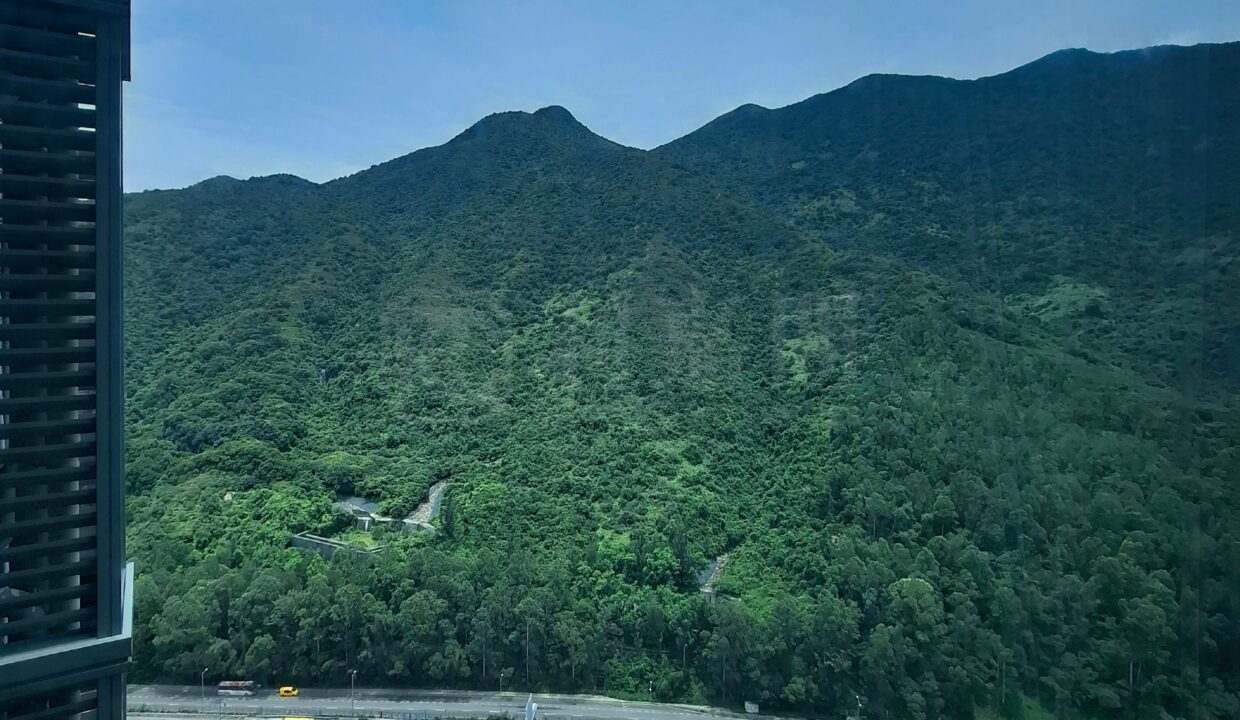 aa15962f-76b3-4198-9690-02d293722cc7.jpeg