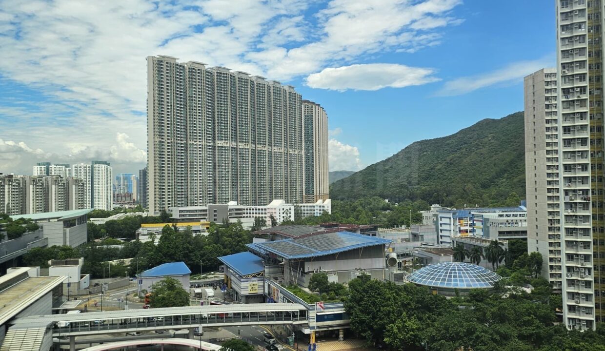 b20840d3-eb6f-4aa8-b316-29fc49367c65.jpeg