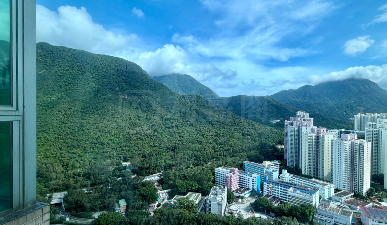 b5f97034-f4bc-480b-91bb-c62a467baa65.jpeg