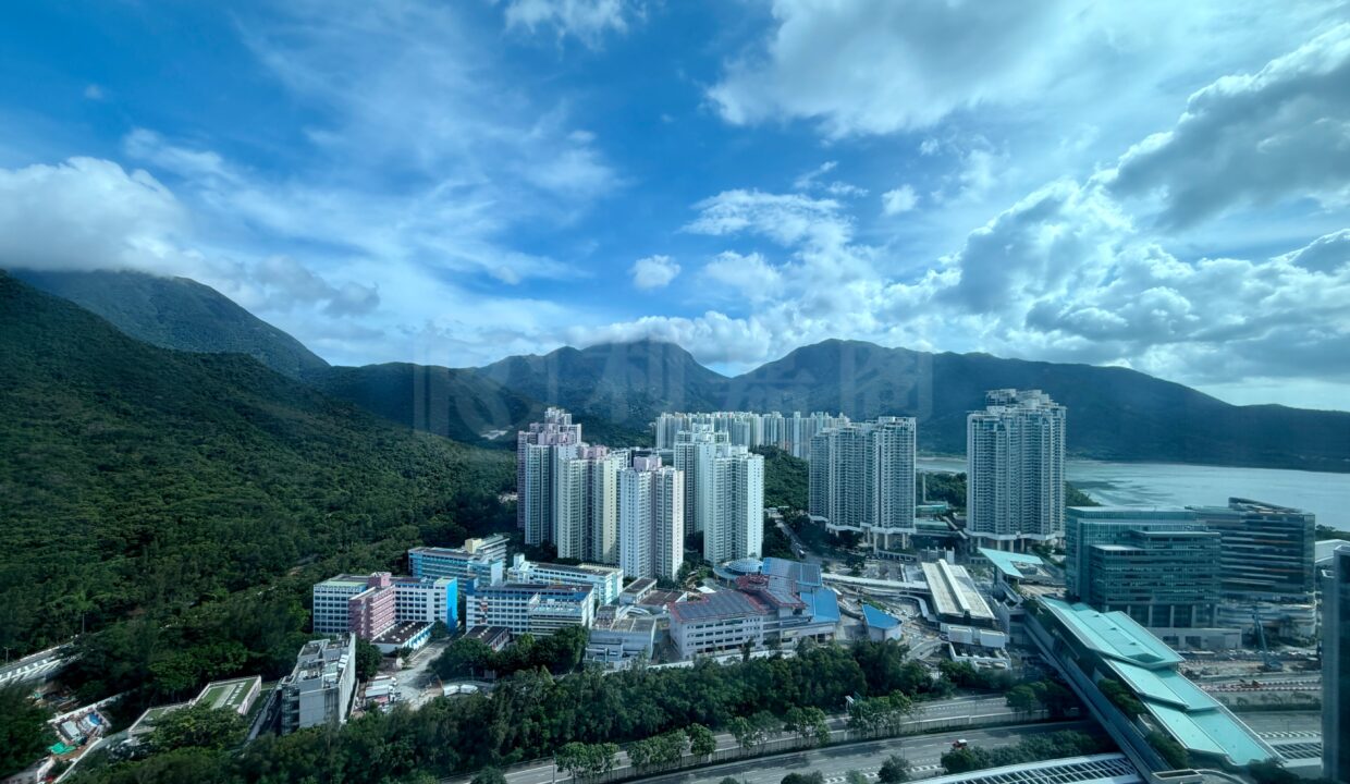 b8d694e4-7056-40db-9cfc-94db2f98135e.jpeg