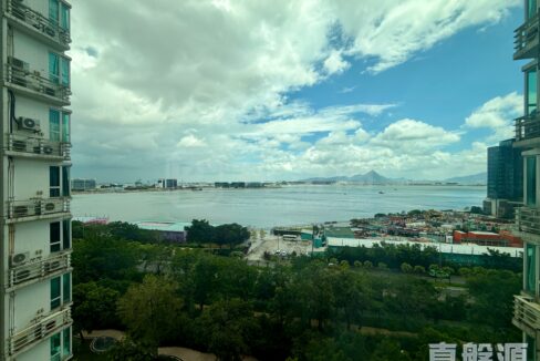 c5220896-abd5-4445-b957-b482b19a28f0.jpeg