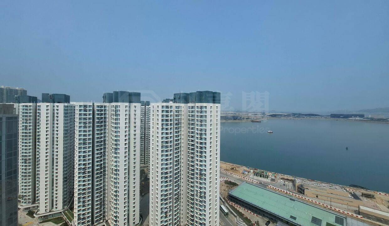 c7697381-716b-49cd-a176-2d13763d02f0.jpeg