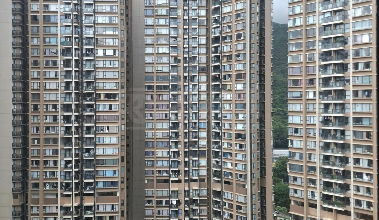 cea73f55-c944-4875-a3b3-a6ad12e8298d.jpeg