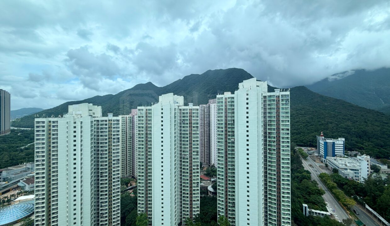 cf66bda2-a804-4928-b31d-042a3c0f280d.jpeg