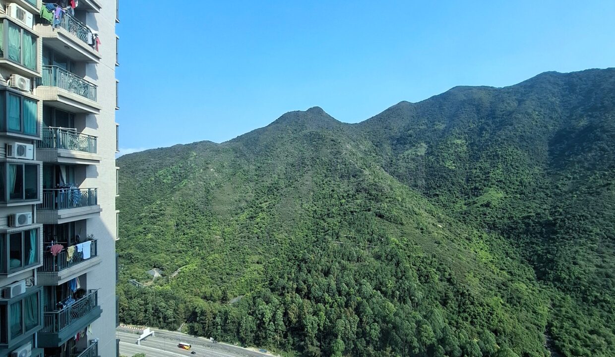 d6ea2ca4-3b5e-4e0c-9399-aa228d28f357.jpeg