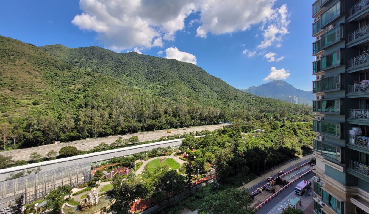 d76c8016-a949-4c98-b437-6f134765680b.jpeg
