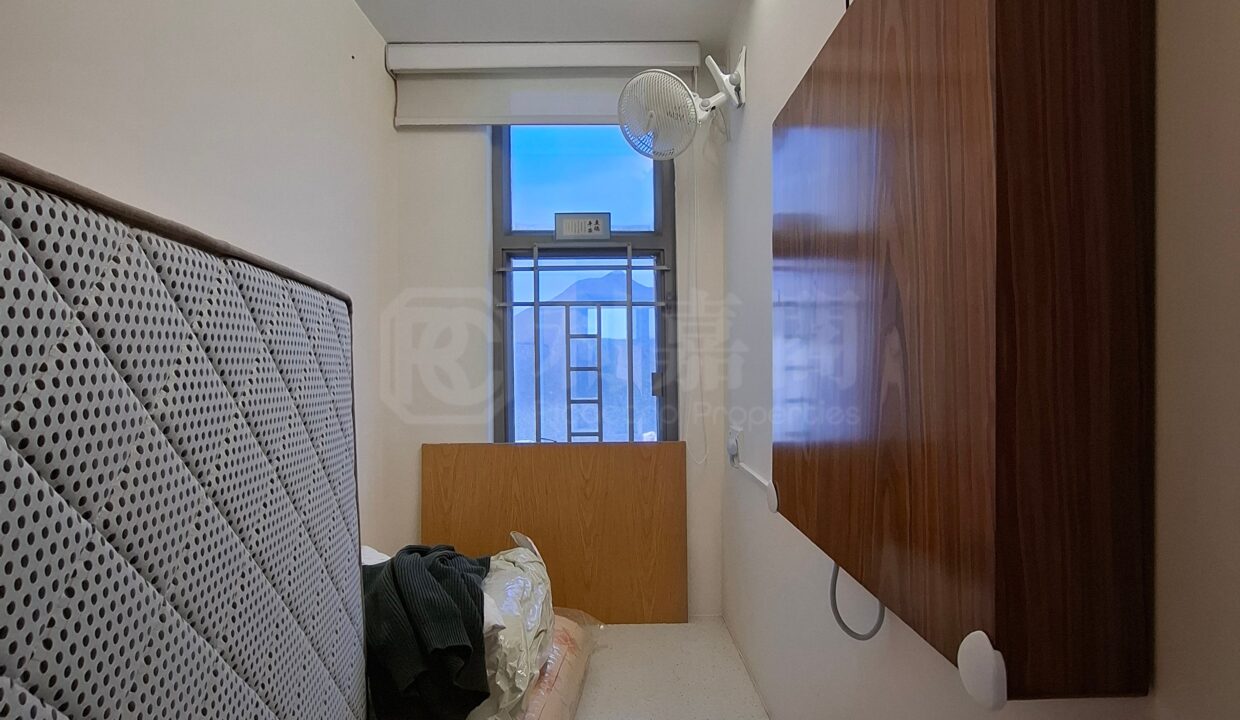 e336e412-ed5e-4d7f-b4ef-ecc09258dc14.jpeg