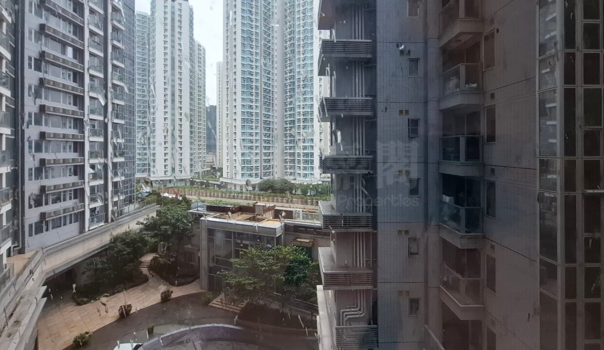 f32ba9ed-25f3-4956-8508-07c0adfdc38e.jpeg