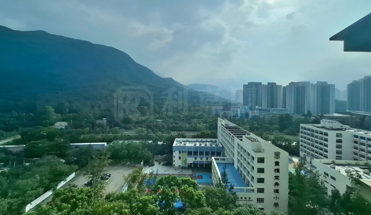 fc719094-5b82-41c2-9009-b686cf859c77.jpeg