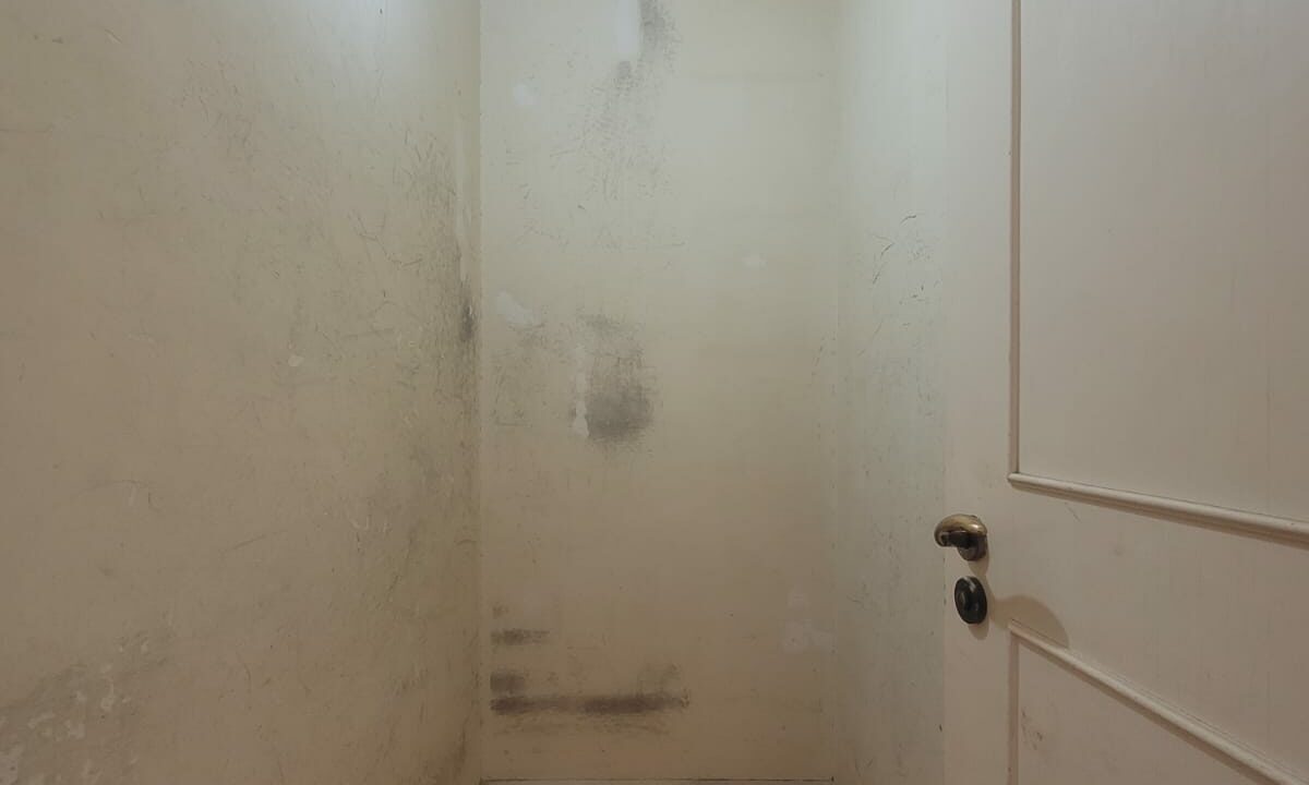 IMG-20241009-WA0137