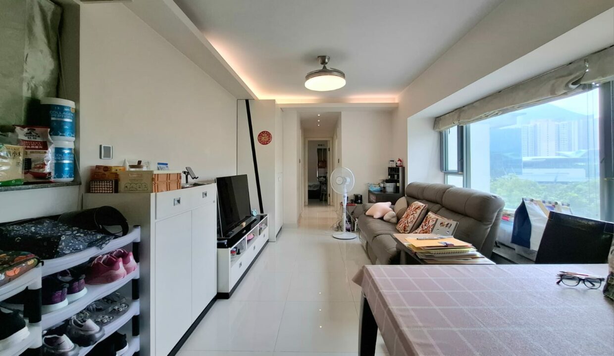 IMG-20241109-WA0071