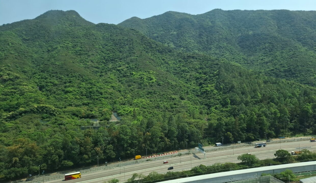 IMG-20250407-WA0055