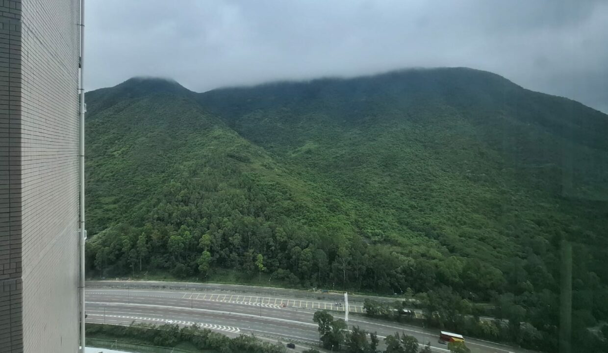 IMG-20250509-WA0145