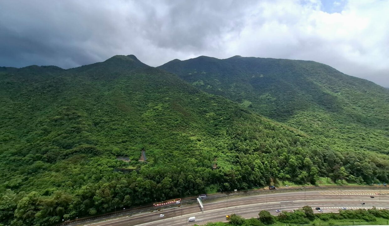 IMG-20250614-WA0063